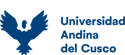 Universidad Andina del Cusco