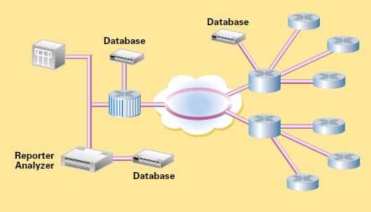 Report Analyzer